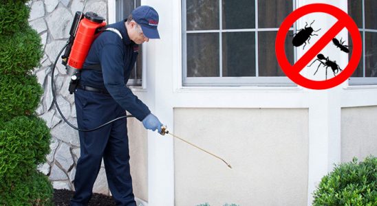 Doğanyol Fare İlaçlama böcek ilaçlama ve haşere kontrolü — ilaclama-tr.com